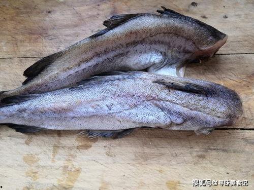 网红吃八瓜鱼视频,口感独特引网友热议! 第2张 网红吃八瓜鱼视频,口感独特引网友热议! 第2张