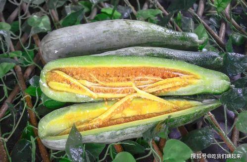 吃网红瓜公众号,吃瓜群众必看,网红瓜背后的真相大揭秘! 第2张 吃网红瓜公众号,吃瓜群众必看,网红瓜背后的真相大揭秘! 第2张