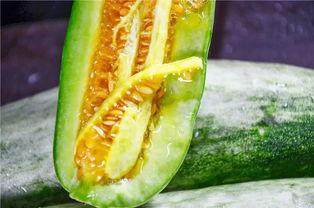 吃网红瓜公众号,吃瓜群众必看,网红瓜背后的真相大揭秘! 第3张 吃网红瓜公众号,吃瓜群众必看,网红瓜背后的真相大揭秘! 第3张