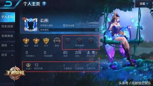 王者2.9最新爆料,神秘英雄登场，战局再起风云  第1张